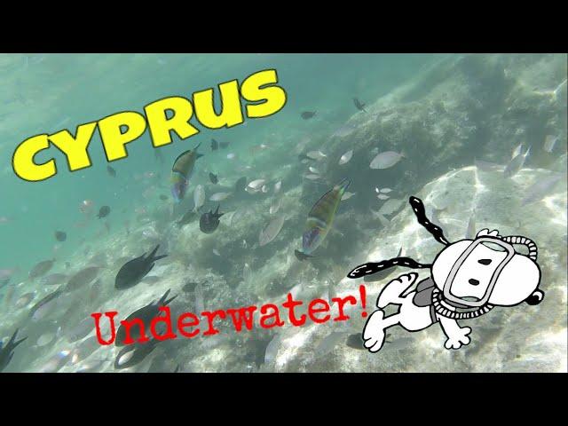 Cipro sott'acqua | Cyprus Underwater | Meraviglie marine