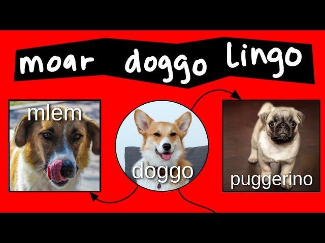 Doggo Chart - Part 2