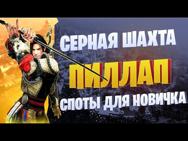 300кк+ споты для новичка  Серная Шахта/ Тюрьма Пиллап  Black Desert