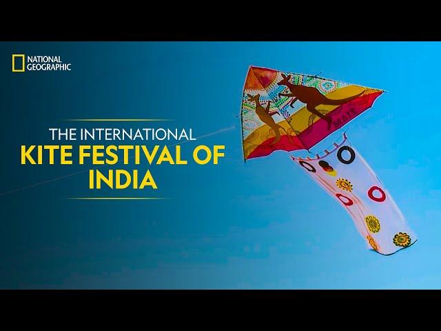 The International Kite Festival of India | It Happens Only in India | National Geographic