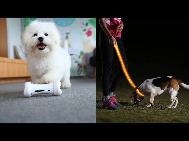 Cool Pet Products For All Dog Lovers