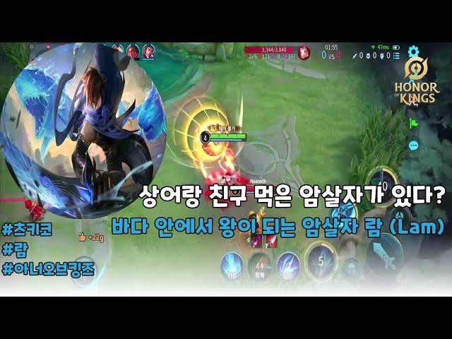 (王者荣耀) (澜) 상어와 친한 암살자 람 (Lam) | 아너 오브 킹즈 | Honor of Kings | 츠키코