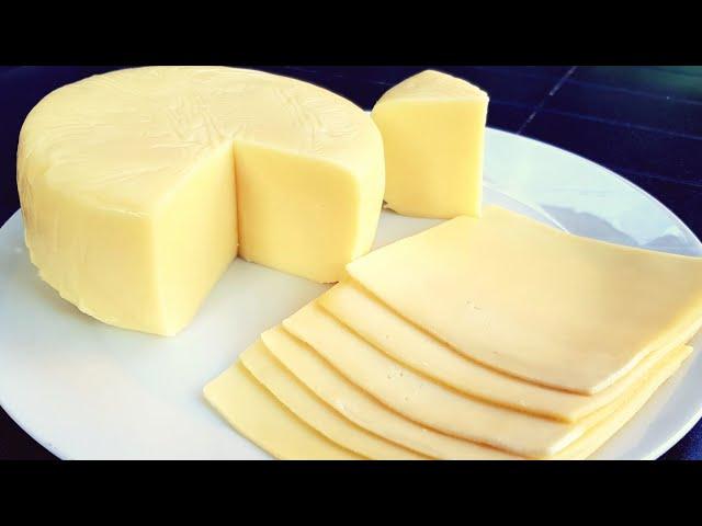 Cheddar Cheese  جبن منزلي او جبن شيدر بالطريقة الصحيحة مع جميع الاسرار/الجبن الاحمر/الفرماج الاحمر