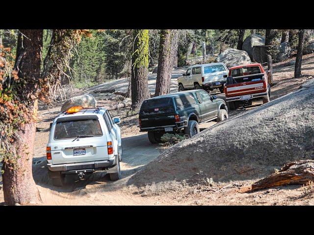 Shaver Lake Off-Roading | Bald Mountain | Brewer Lake OHV | Ford Bronco, Tacoma, Land Cruiser, F-150