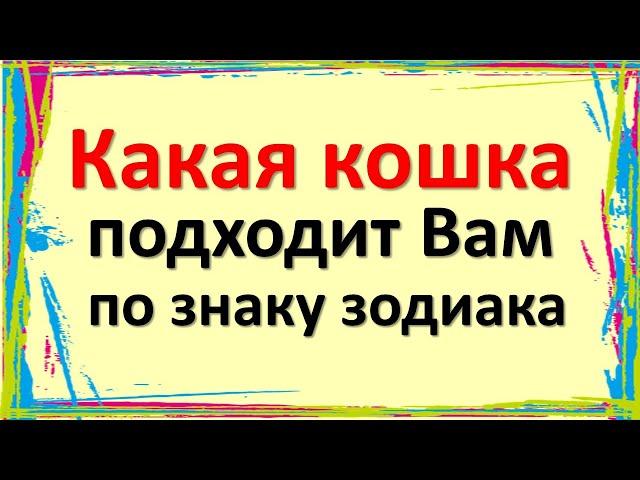 Какая кошка подходит Вам по знаку зодиака