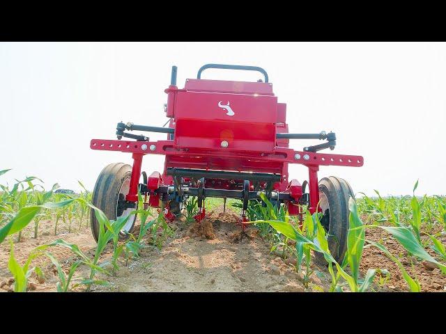 520 Tractor Finger Weeding Corn - Tilmor Works Episode #2