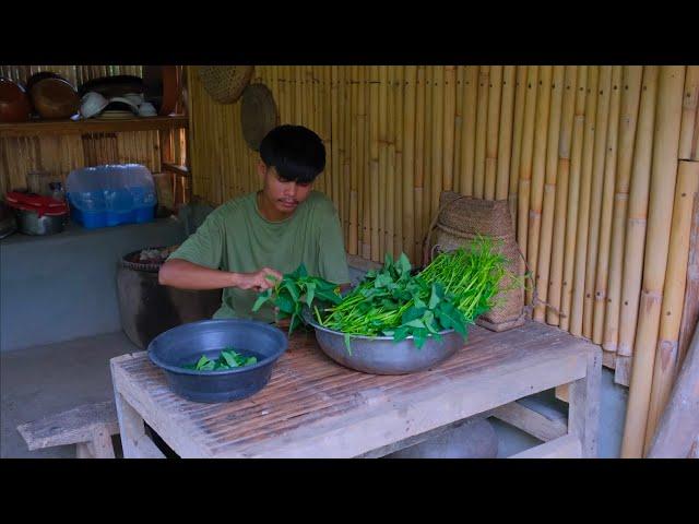 Harvest kangkong and cucumber | Make kangkong chips, cucumber juice and more! [Gayyem Ben]