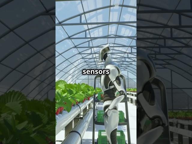  Can AI Robots Take Care of Plants Like Humans? #ai #robot #technology