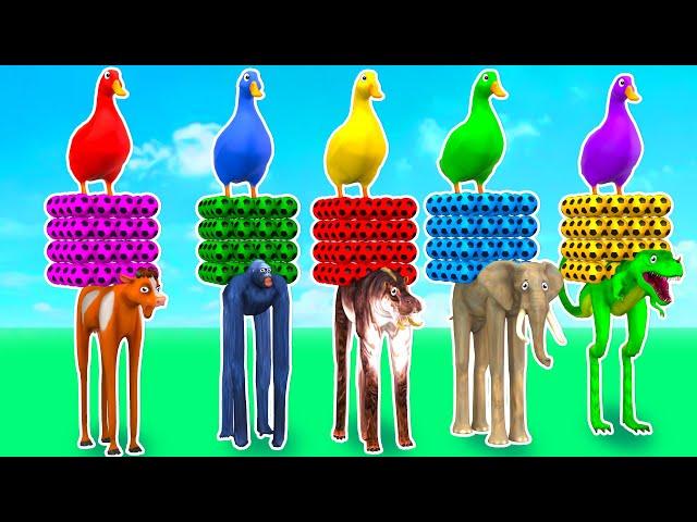 Max Level Long Legs Long Slide Game With Elephant Gorilla Buffalo Hippopotamus Tiger