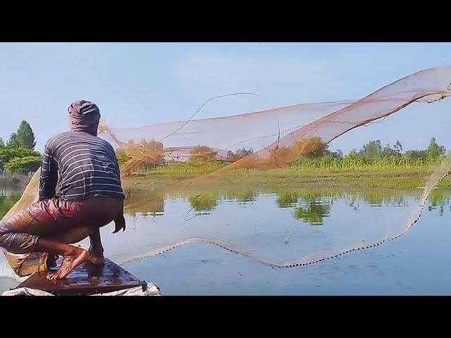 Really amazing net fishing on a sunny day! Best fishing by net | Aboard a great net fishing boat