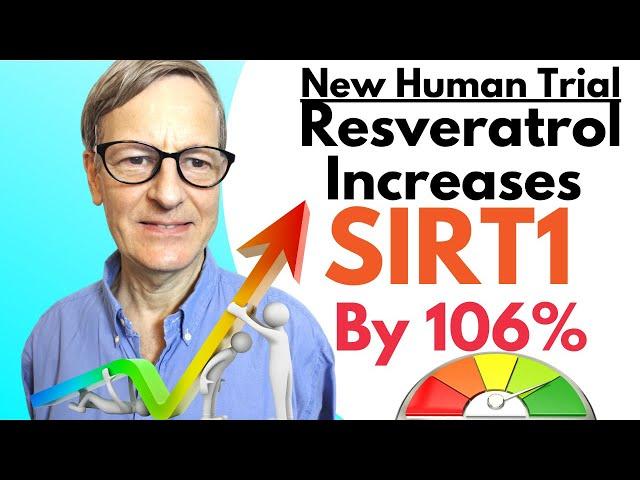 Resveratrol Increases SIRT1 Activity 106% In Human Trial