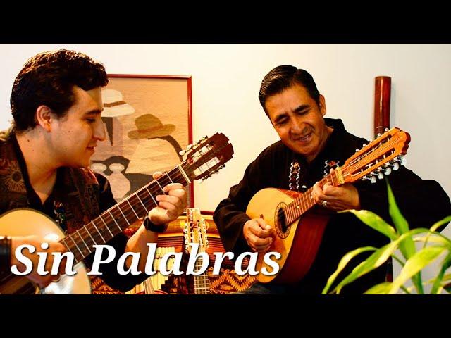 SIN PALABRAS - CHARIJAYAC - ALONDRA ANDES (Cover)