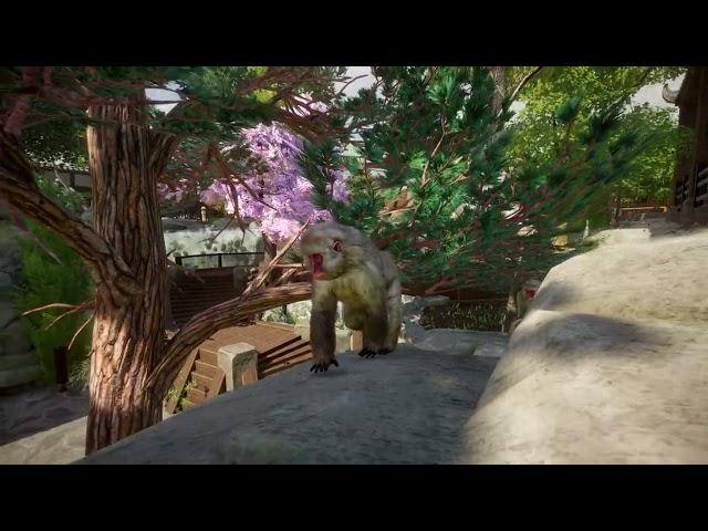 Japanese macaque | Planet Zoo Animals