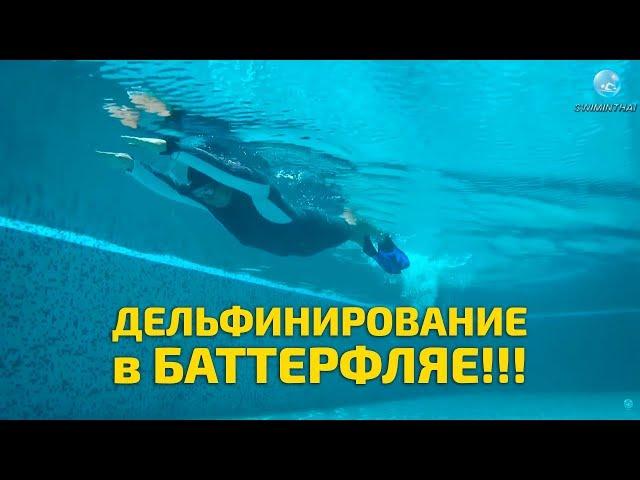 Как научиться плавать баттерфляем?! Основы: работа ног и дельфинирование