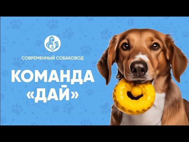 КОМАНДА «ДАЙ». Как приучить собаку по команде отдавать игрушки и все, что она подняла с земли?