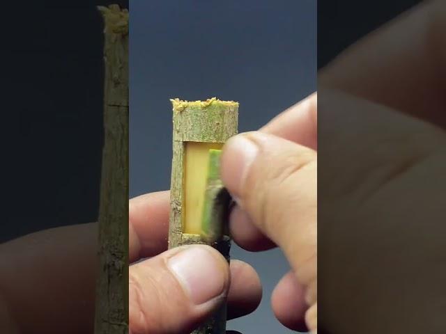 #Fruit tree grafting technology #sharing, just align the cambium, and leave the rest to time#