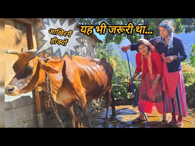 गाँव की हंसती खेलती जिंदगी || pahadi life vlog ||  knchuu bhatt