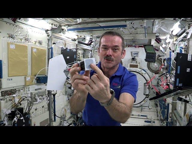 Astronaut Chris Hadfield Plays Jamie Hyneman and Adam Savage's Space Game on the ISS