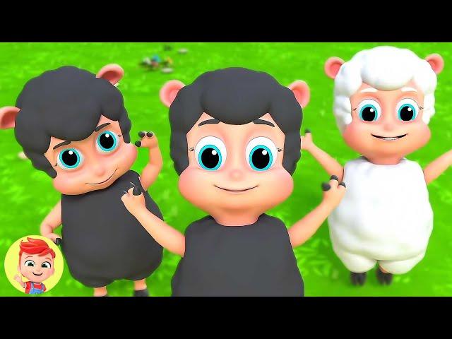 Farmees Sunny Barn - Baa Baa Oveja Negra Canción, Rima Infantil Para Niños