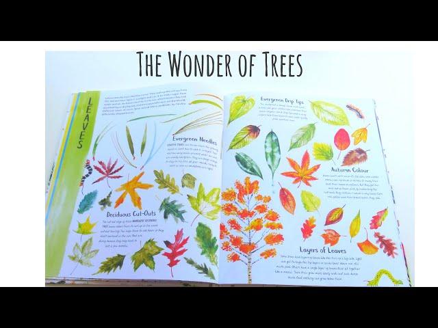 The Wonder of Trees by Nicola Davies & Lorna Scobie: Flip Through Review