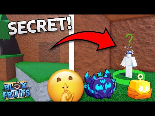 Most secret SHOCKING Facts In Roblox Blox Fruits!