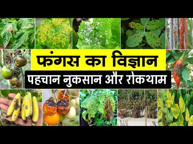 फंगस का विज्ञान | Fungus की पहचान और रोकथाम | Fungus identify & control | Fungus ko kaise roken