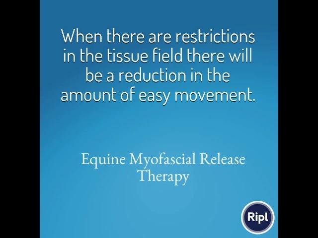 Horse therapy with myofascial release therapy