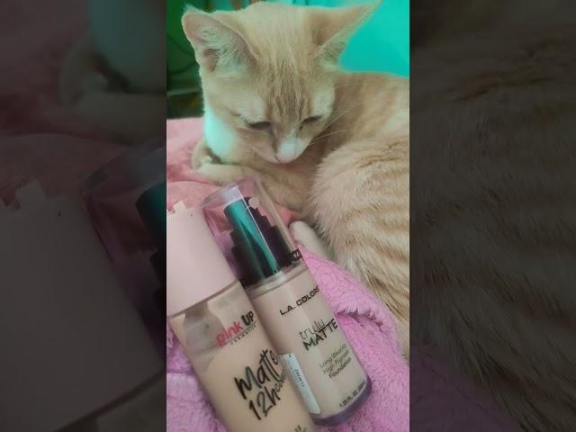 mi gatita narra mis bases de maquillaje