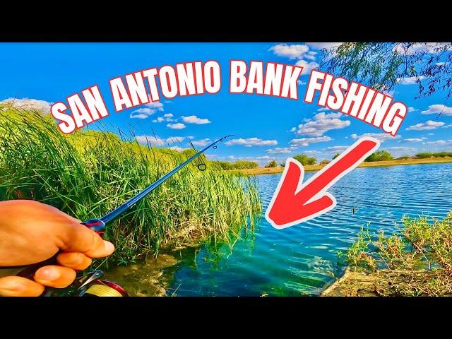 BANK Fishing SPOT in San Antonio, Texas #bassfishing #fishing