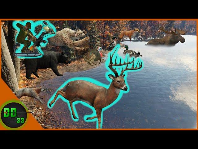 Hunting Every Animal From One Tree Stand in The New England Mountains! Call Of The Wild