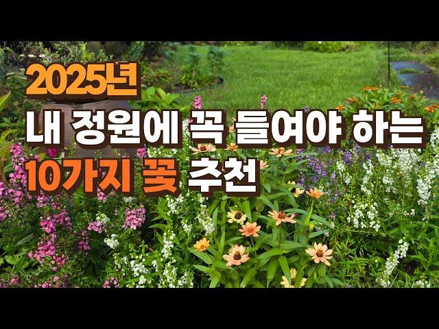 2025년 내 정원에 꼭 들여야 하는 10가지 꽃 강력추천