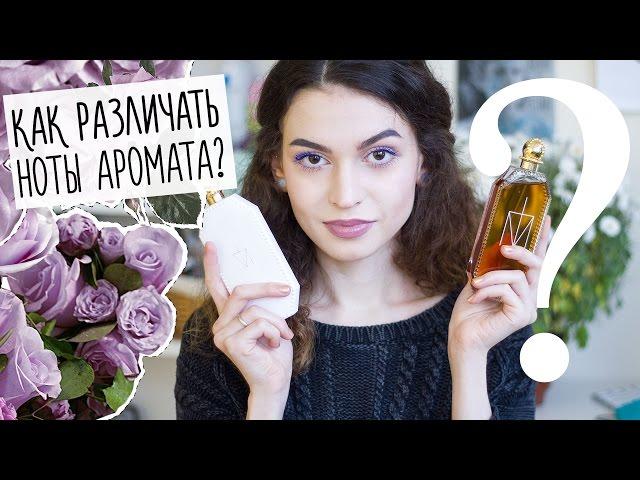 Ноты и пирамида аромата. Как различать ноты в парфюмерии?  Anisia Beauty