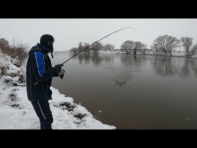 Зимний Спиннинг в разгаре! на реке в декабре