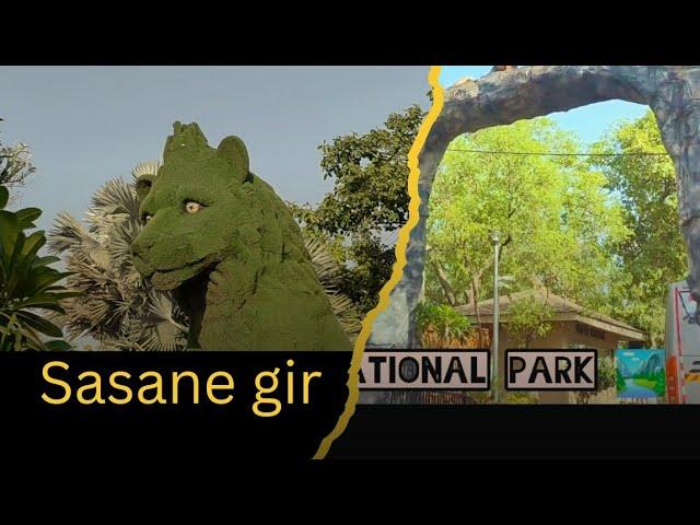 Sasane gir national park    vlog,  gir national park in Sasane. @kmbeautyvlogs5303