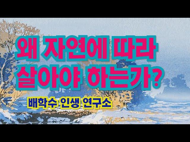 하쿠나 마타타의 인생 철학: 도가(道家)와 스토아주의(Stoicism)