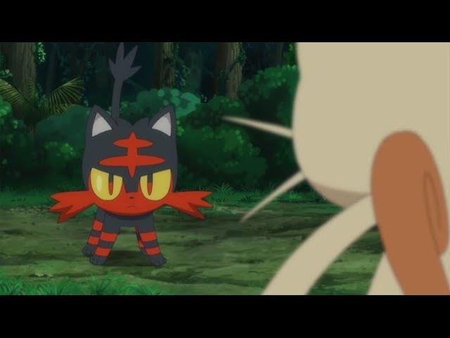 Litten Versus Meowth!