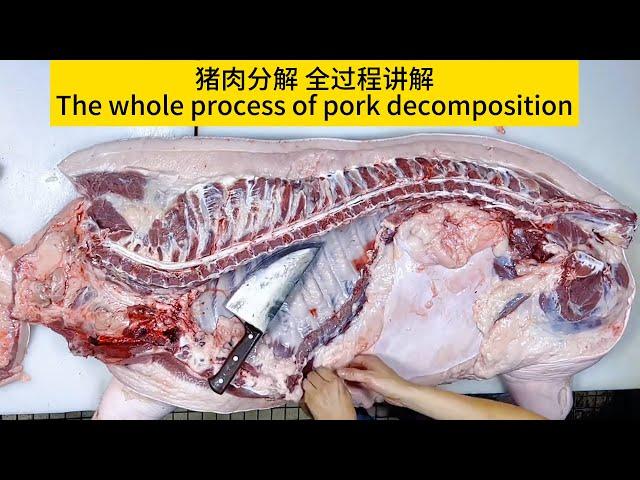 "The Whole Process of Decomposing Pork" and Pork Cutting Tips How to Pick Good Pork!