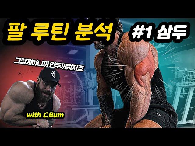 두꺼운 팔을 위한 삼두 운동 딱 '네 가지' (크리스 범스테드 팔 운동 루틴 #1 | 이런걸 알고 해야 두꺼워집니다)