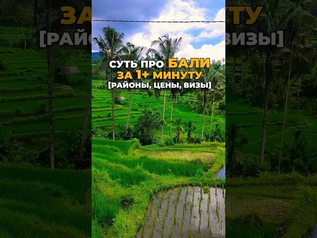 СУТЬ про БАЛИ за 1 минуту [районы, цены, визы] #shotrs #travel