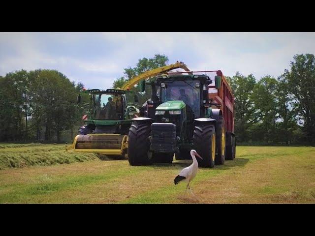 Grasernte 2022  Gras schwaden & häckseln mit dem Lohnunternehmen Ahuis in der alten Piccardie