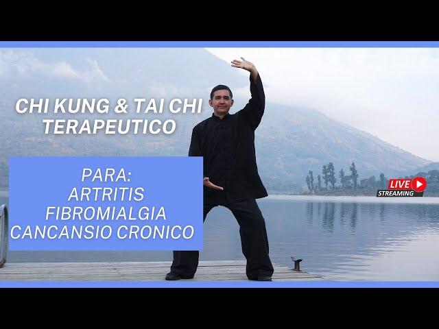 Como Aliviar los Sintomas de Artritis, Fibromialgia, Cansancio Crónico con Chi Kung & Tai Chi