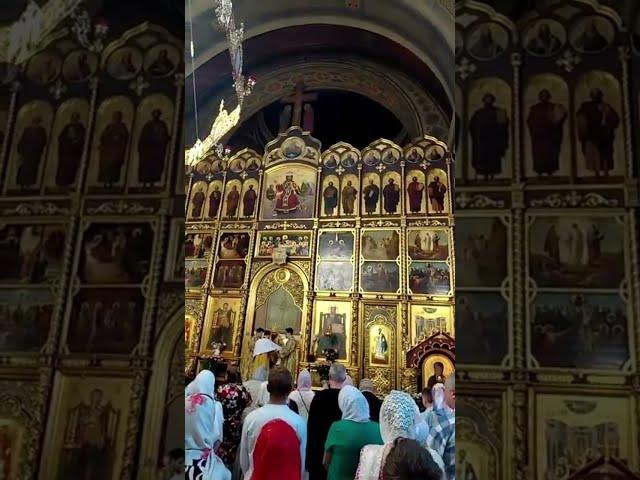 Божественна Літургія у Свято-Духівському кафедральному Соборі ️ ЧЕРНІВЦІ 22.06. #2025