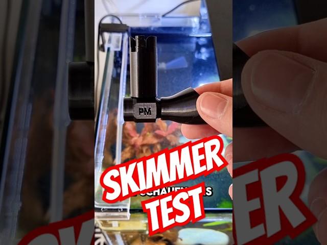 Einbau & Test @MobyLab  Skimmers am PAT Mini!  Funktioniert er wirklich?  #Aquarium #Skimmer