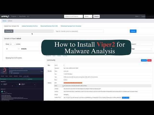 Malware Analysis Simplified: Viper2 Framework Step-by-Step Guide