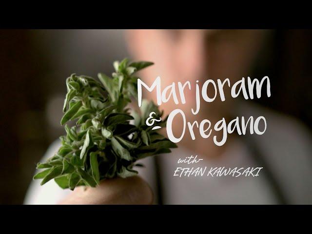 Spice Blends: Marjoram & Oregano | Cafe Zupas