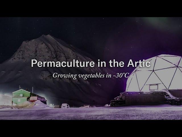 Farming In The Arctic | Growing Vegetables In Freezing Temperatures