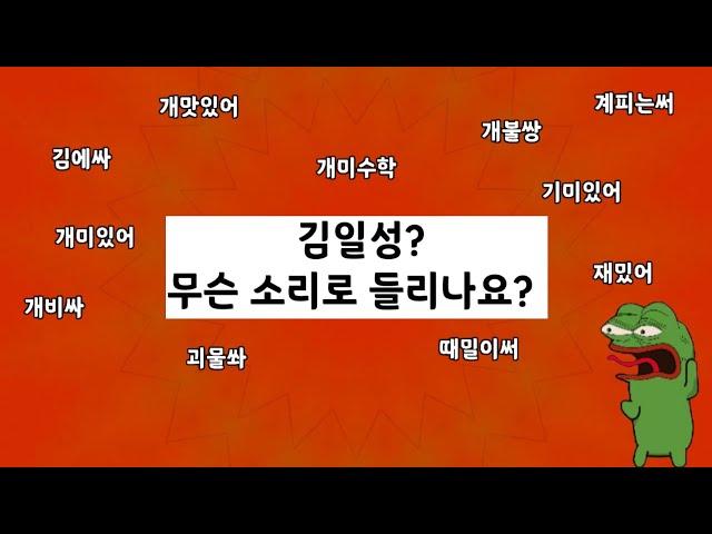 무슨 소리로 들리나요? 김일성,김비서,김에싸,개비싸,개불쌍,개미수학...등등