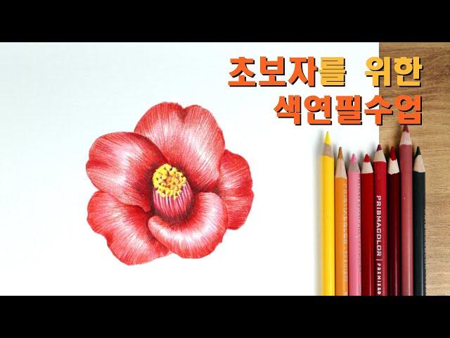 drawing flowers with color pencil.