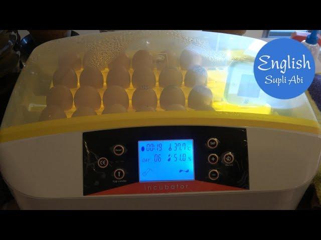 How to use HHD 32 - 56 Automatic egg incubator and solve problems? Egg incubation Part 1【4K】