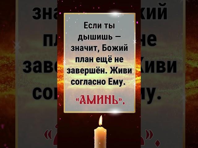 Если ты дышишь — значит, Божий план ещё не завершён. Живи согласно Ему. «Аминь».